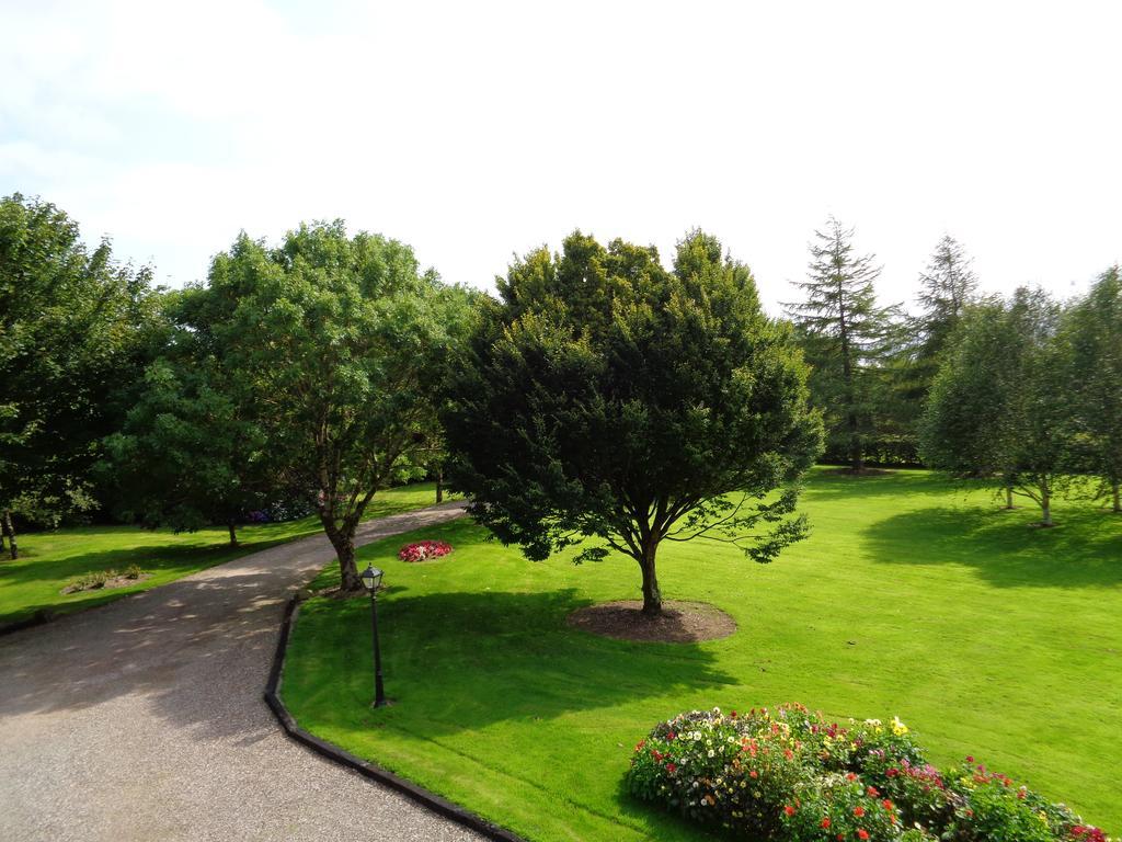 Bed and Breakfast Redwood Cill Airne Esterno foto