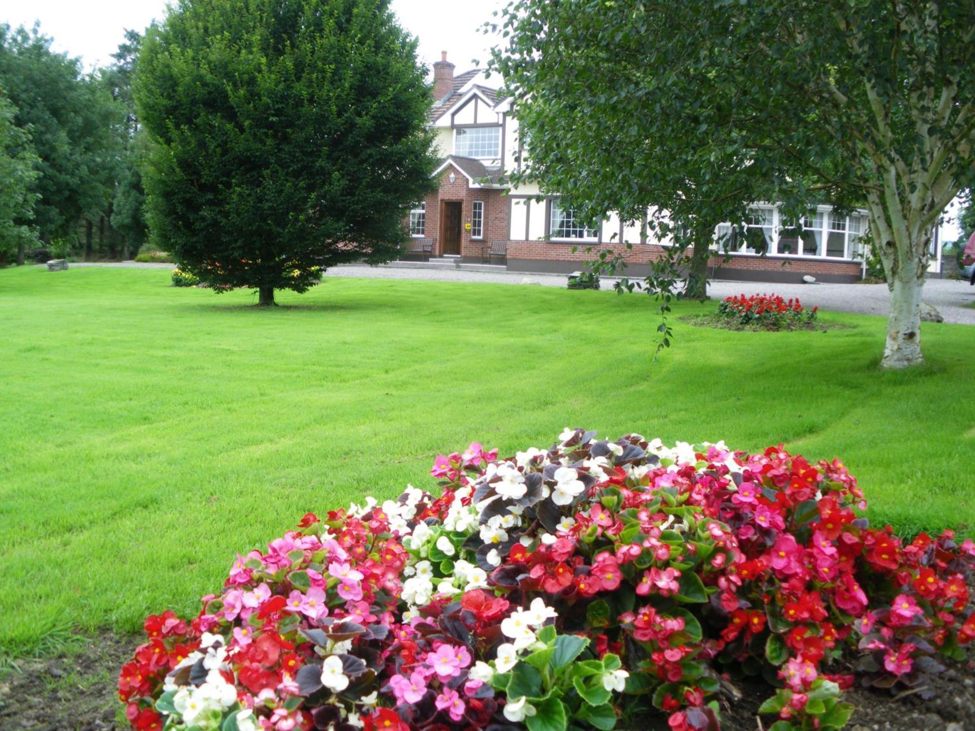 Bed and Breakfast Redwood Cill Airne Esterno foto